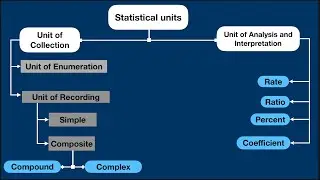 How to classify Statistical Units in One - Minute