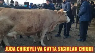 Kosonsoy tumani Tergachi chorva bozori sigirlari 14-yanvar.