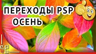 Бесплатно переходы для ProShow Producer 