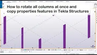 How to rotate all columns at once and copy properties features in Tekla Structures