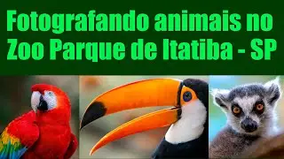 Fotografando animais no Zoo Parque de Itatiba - SP