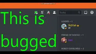 Discord Search Bug not responding