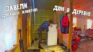 УТЕПЛЯЮ ПОТОЛОК И ПЕРЕГОРОДКИ / СТРОЙКА ПРОДОЛЖАЕТСЯ / К НАМ ПРИШЕЛ НЕЖДАННЫЙ ГОСТЬ / ДОМ В ДЕРЕВНЕ