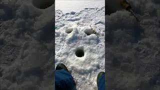 ОТЛИЧНАЯ ПОГОДА-ОТЛИЧНАЯ РЫБА!!! 