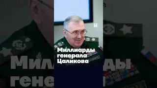 Миллиарды генерала Цаликова