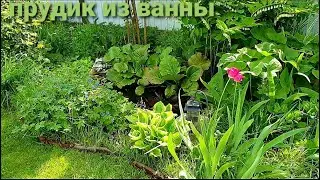 Прудик из ванны сделать просто Почему вода не цветет Растения в пруду и вокруг не прихотливы, но
