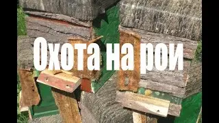 Охота на рои