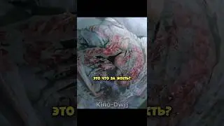 Нашёл палец, но он оказался.. 😨 