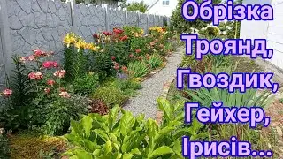 Догляд за ТРОЯНДАМИ та БАГАТОРІЧНИКАМИ після цвітіння