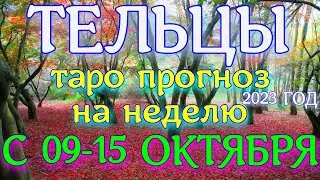 ГОРОСКОП ТЕЛЬЦЫ С 09 ПО 15 ОКТЯБРЯ НА НЕДЕЛЮ ПРОГНОЗ. 2023 ГОД