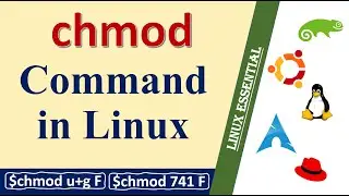 How to change file permission using chmod command in Linux || chmod