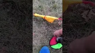 Про нашу собаку. Как нам с новым питомцем.