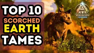 The TOP 10 TAMES on SCORCHED EARTH