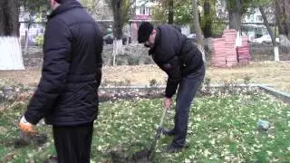 Субботник 24 ноября 2012 года