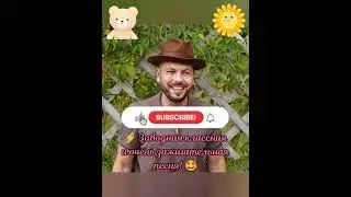 🔥 Настоящий летний хит! 🪩 Самая классная танцевальная песня! 🤩 #тренды #сумишевский #музыка #топ