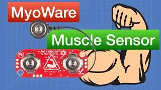 MyoWare Muscle Sensor - Electromyography (EMG) & Robot Arm (failed attempt)!