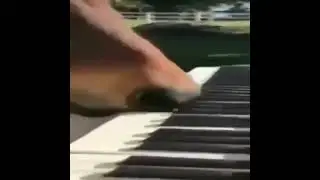 Mozart - Horse