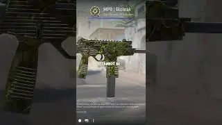 Weird CS2 Skins Lore #5: MIA