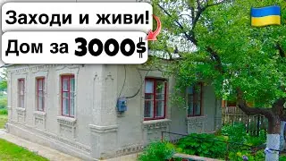 🇺🇦 Заходи и живи! Дом в селе за 3000$ Продажа недвижимости за копейки! Всё есть! Уютное Тихое село
