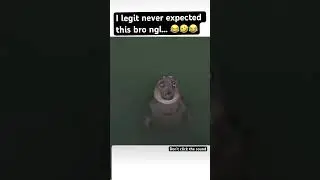 I Never Expected This… 🤣😂