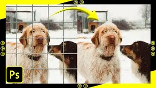 Magically remove fence in photoshop 