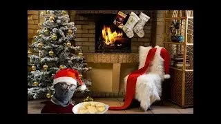 Come fare i biscotti di Natale (con l'emicrania)-REUPLOAD-