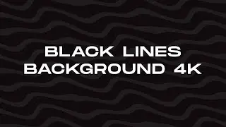 The Elegant Art of Black Line Animation