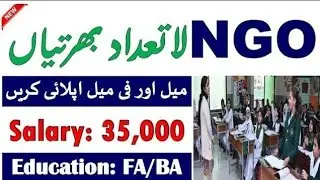 NGO Jobs 2024-Latest NGO Jobs 2024 In Pakistan-Apply Now