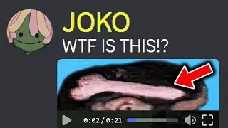 The Most UNUSUAL Discord Videos...