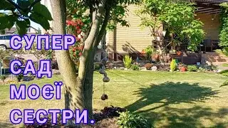 Прекрасний Сад Моєї Сестри🌲🍒🍎