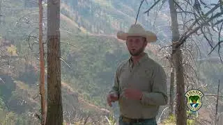Craig Mountain Wildlife Management Area: Overview