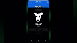 DOGS АИРДРОП КАК ВЫВЕСТИ? ЛИСТИНГ 20.08.2024 года 