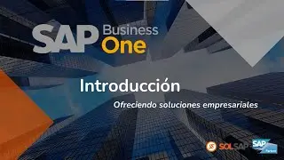 Introducción a SAP B1