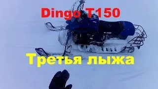 Защита днища для Dingo T150 || Третья лыжа из стиральной машины