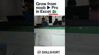 Become an Excel Pro 