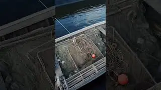 Время Рыбалки