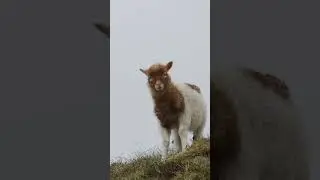 Hiking to Dunnesdrangar Faroe Islands