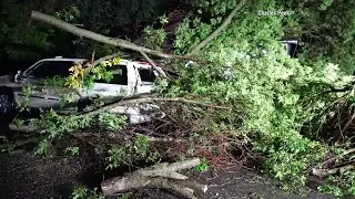 RAW VIDEO: Minnesota Storm Damage