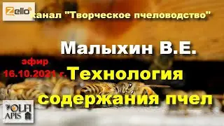 16.10.21 г. Z-рация, канал 