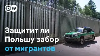 Защитит ли Польшу от мигрантов забор на границе с Беларусью