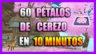 DONDE ENCONTRAR PÉTALOS DE CEREZO - UBICACIÓN - RUTA FARMEO - LOCALIZACIÓN | GENSHIN IMPACT