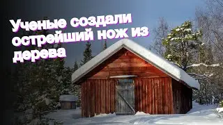 Ученые создали острейший нож из дерева