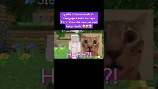 Sisil Mengajarkan Budaya Karir Khasnya di Minecraft 💀 