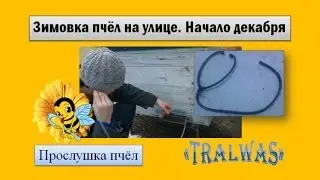 Зимовка пчёл на свежем воздухе ☆ Начало декабря