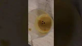 Так пластик превращают в бензин 🤯 