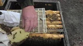 Холодное объединение слабых отводков.