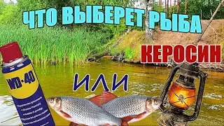 Опустил под воду WD-40 и КЕРОСИН. Что выберет рыба? Подводная съёмка.