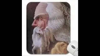 the best optical illusions ever