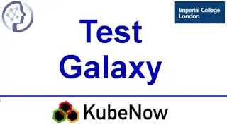 KubeNow Tutorial 7/7: Test Galaxy