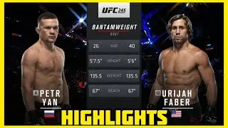 PETR YAN VS URIJAH FABER HIGHLIGHTS